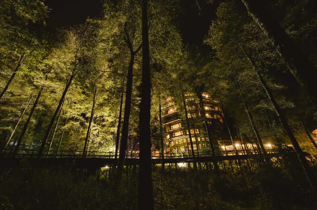 Huilo Huilo Nothofagus Hotel & Spa Пуерто-Фуй Екстер'єр фото